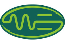 Directory image of WILSON ELECTRIC (BATTERSEA) LTD