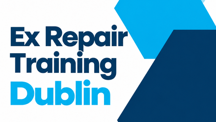 Ex Repair Training Dublin.png